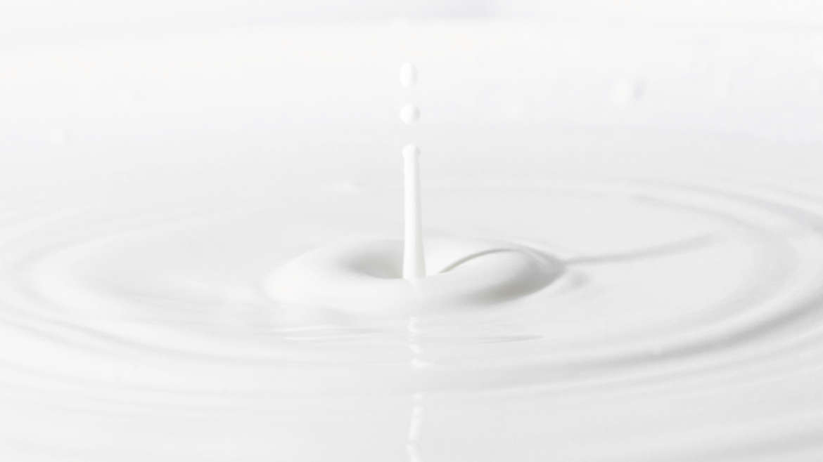 Quali sono le proprietà del latte di pecora?